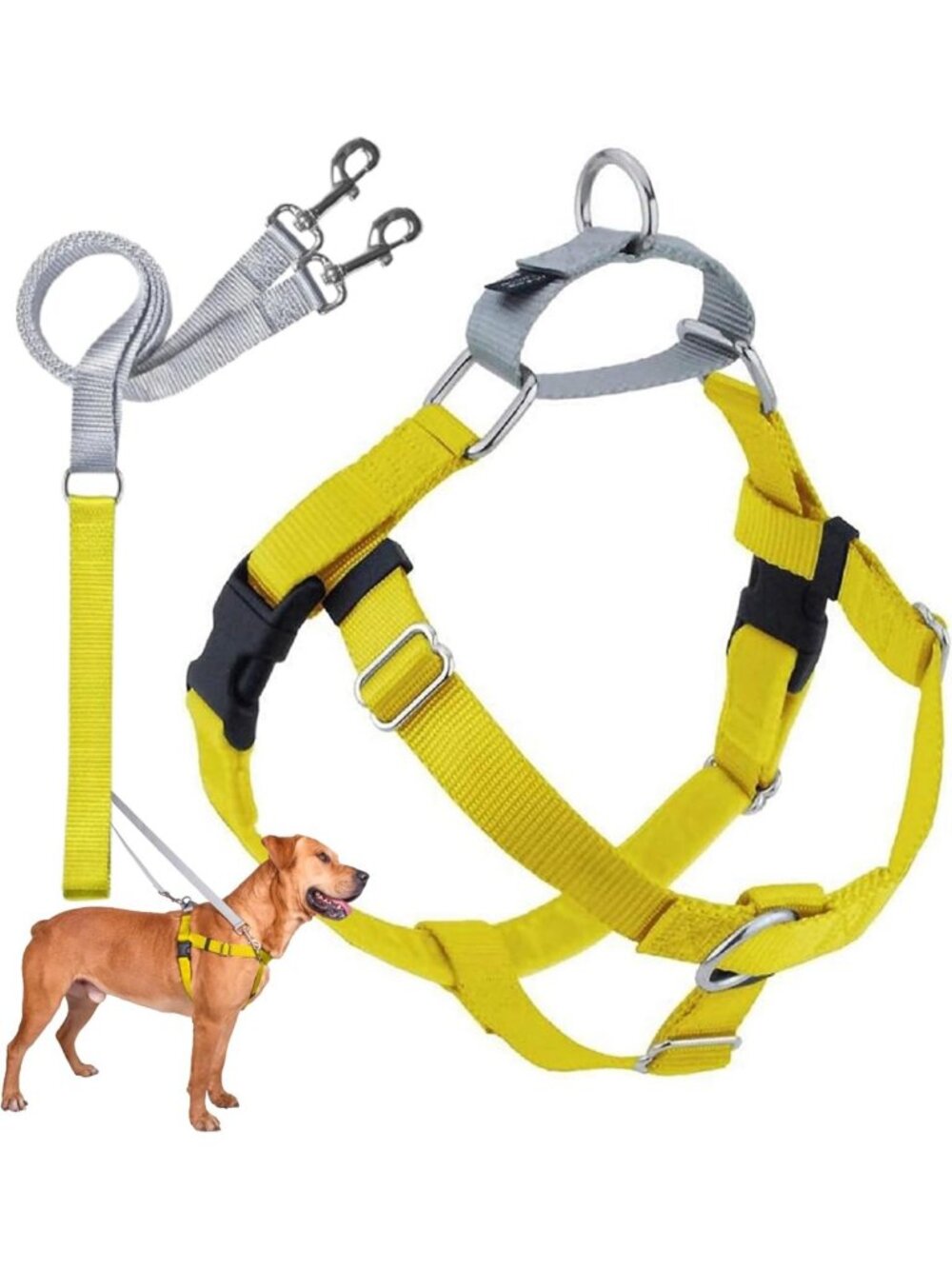 No-Pull Dog Harness & Leash Set, Medium 1" - Freedom Design, Bright Yellow